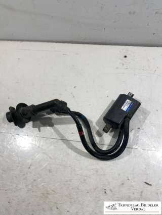 Coil elektronisk til MC Yamaha YZF-R6, 1999-2002  (|4TV01J0313|1297003351)