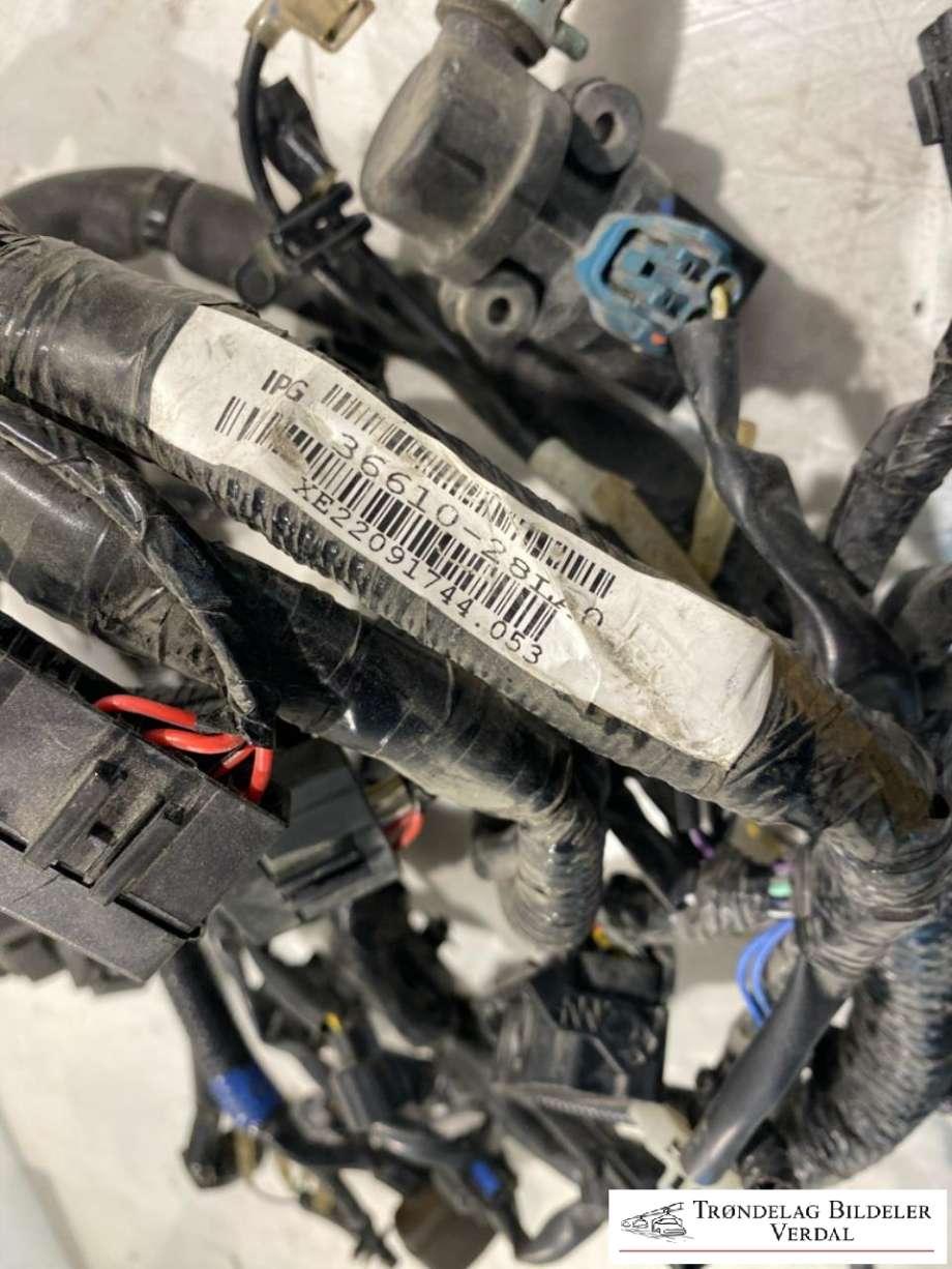 MC, Ledningsnett til MC Suzuki GSX-R125 2017-->> (3661028LA0|)