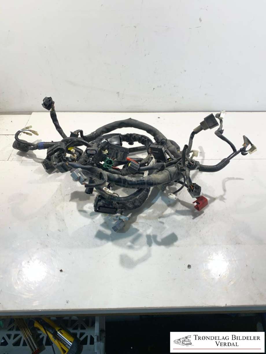 MC, Ledningsnett til MC Suzuki GSX-S125 2017-->>  (366012KA30|)