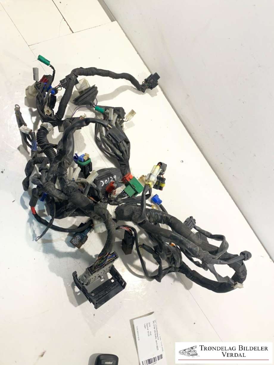 MC, Ledningsnett til MC KTM 125 Duke, 2017-2022