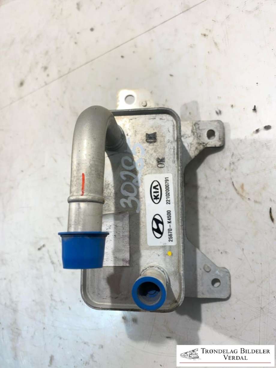 Varmeapparat diverse til Hyundai Kona 2021-2023 (Type I, Fase 2) (25670K4500|)