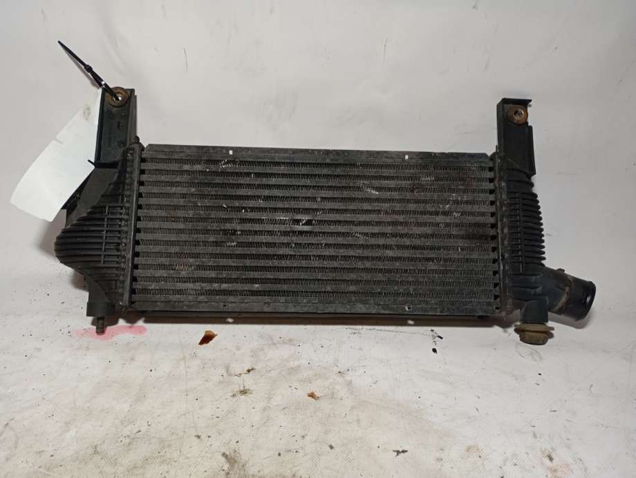 Intercooler til Nissan Pathfinder 2005-2010 (Fase 1) (R51) (R51) (|14461eb360)