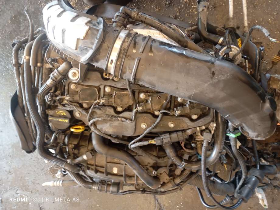Motor bensin til Ford Focus 2011-2014 (Type III, Fase 1) (|JQDB)