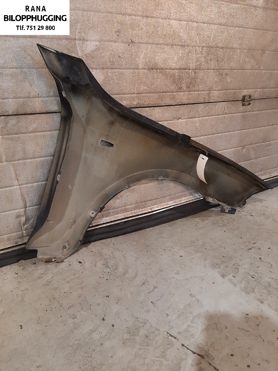 Skjerm venstre foran til BMW X3 2007-2010 (Fase 2) (E83) (E83) (2,0 d  X3|)