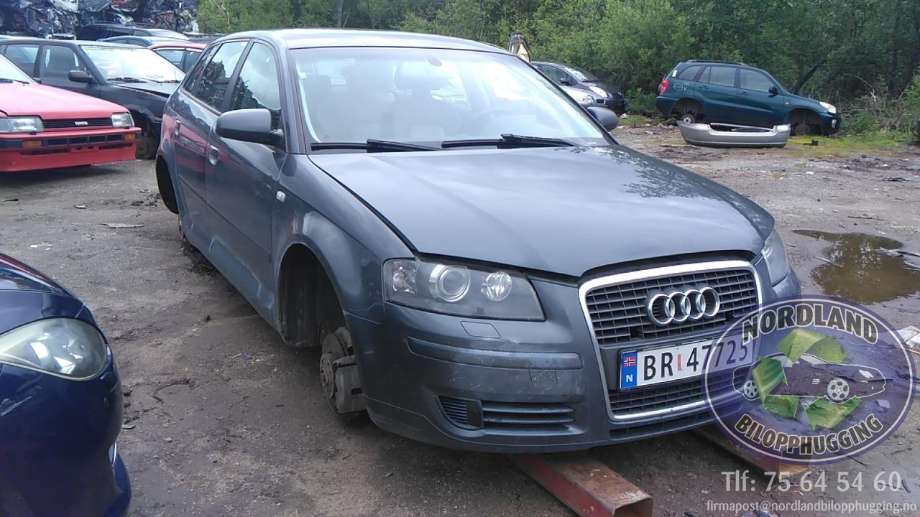 Audi A3 2003-2008 (Type II, Fase 1) , Motorkode: BMM, Girkassekode: 
