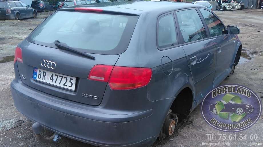 Audi A3 2003-2008 (Type II, Fase 1) , Motorkode: BMM, Girkassekode: 