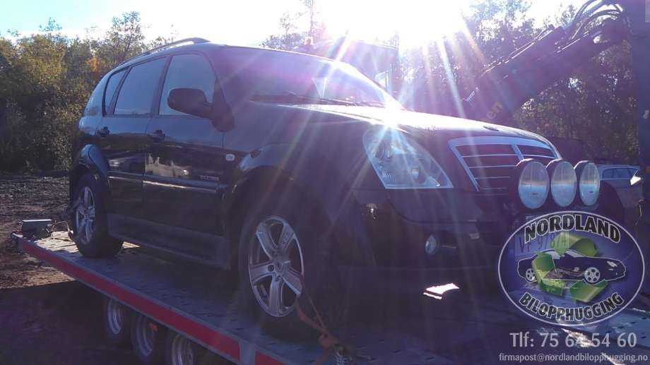 SsangYong Rexton 2007-2013 (Y250) (Y250), Motorkode: 665925, Girkassekode: