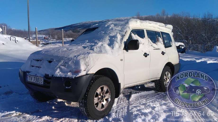 Mitsubishi Pajero, 2000-2006 (Type III)  delebil 