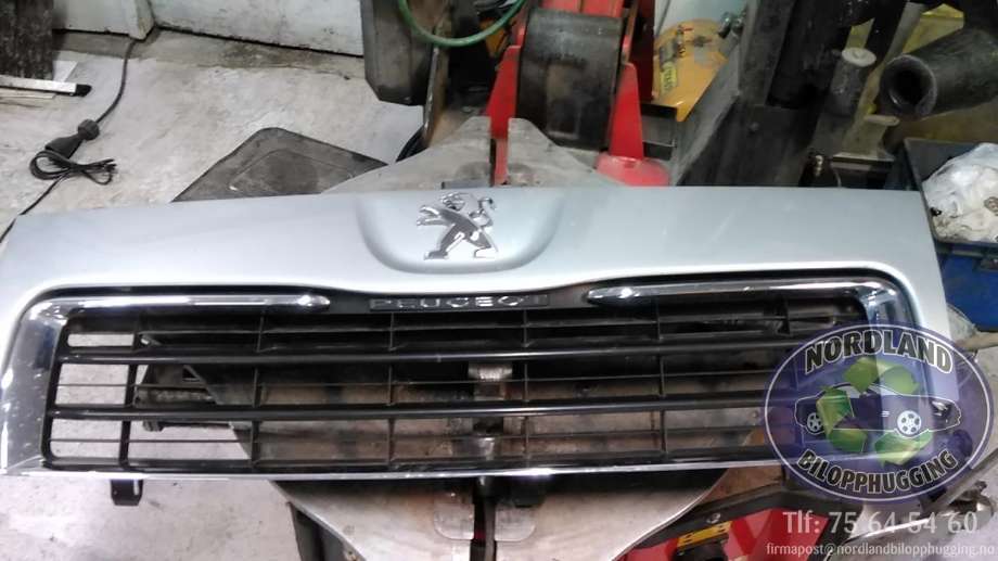 Grill til Peugeot Expert, 2007-2016 (Type II)  