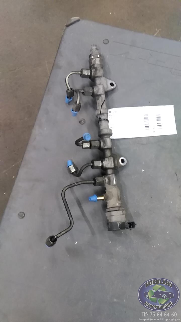 Dyseskinne (fuelrail) til Fiat Doblo, 2006-2010 (Type I, Fase 2)  