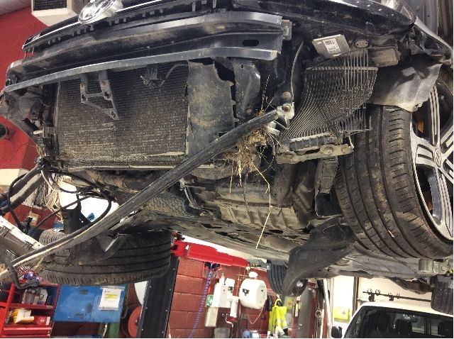 VW Golf VII 2012-2017 (Fase 1) , Motorkode: D5244T15;DS4, Girkassekode: pzs