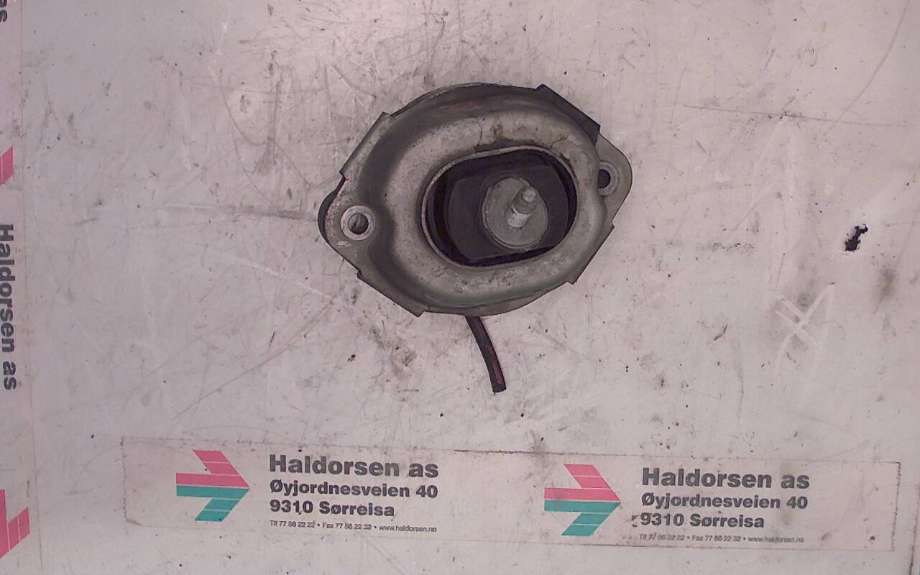Motorfeste til BMW X5, 2000-2006 (E53) (E53) (BMW|)