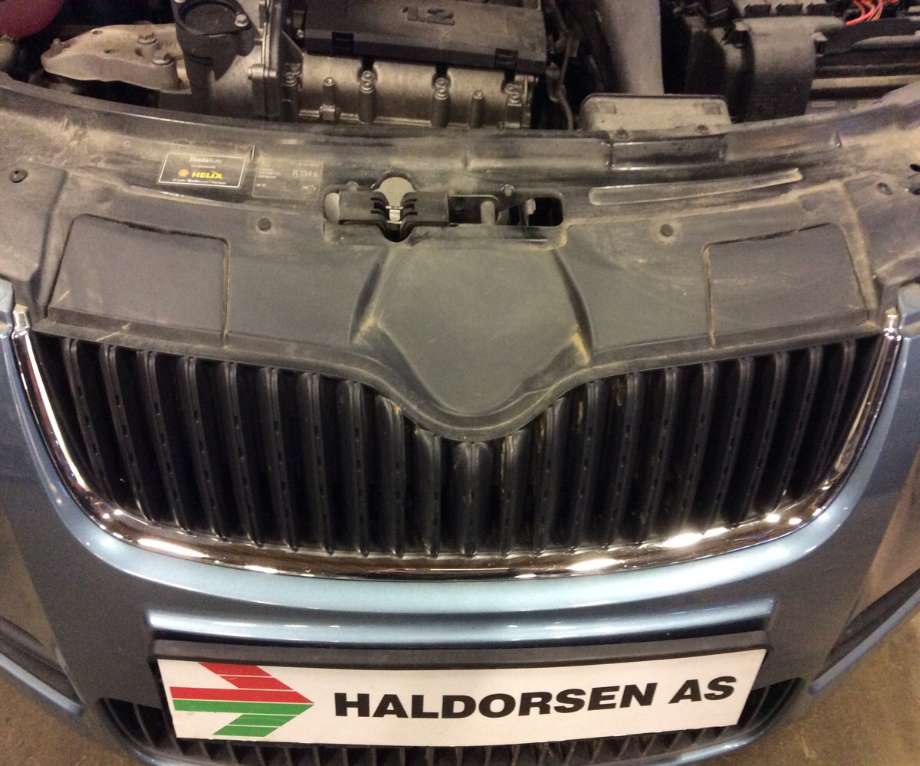 Grill til Škoda Fabia, 2007-2010 (Type II, Fase 1)  (SKODA|5J0 853 668 A)