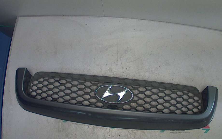 Grill til Hyundai Santa Fe, 2001-2006 (Type I) (HYUNDAI|86351 26902)