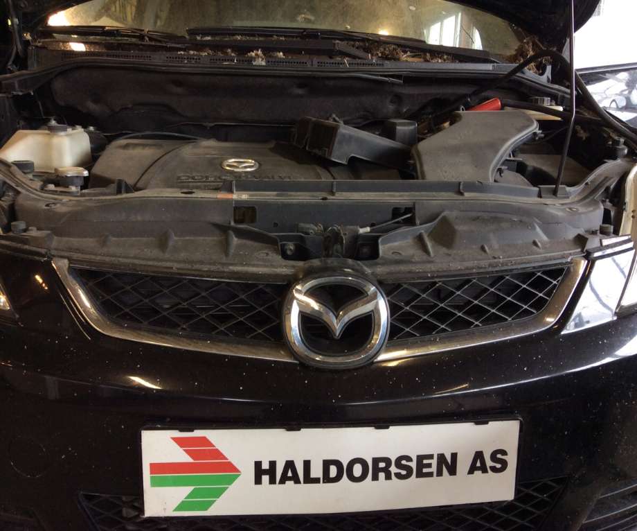 Grill til Mazda 5, 2005-2010 (Type I)  (MAZDA|C235-50-710C)