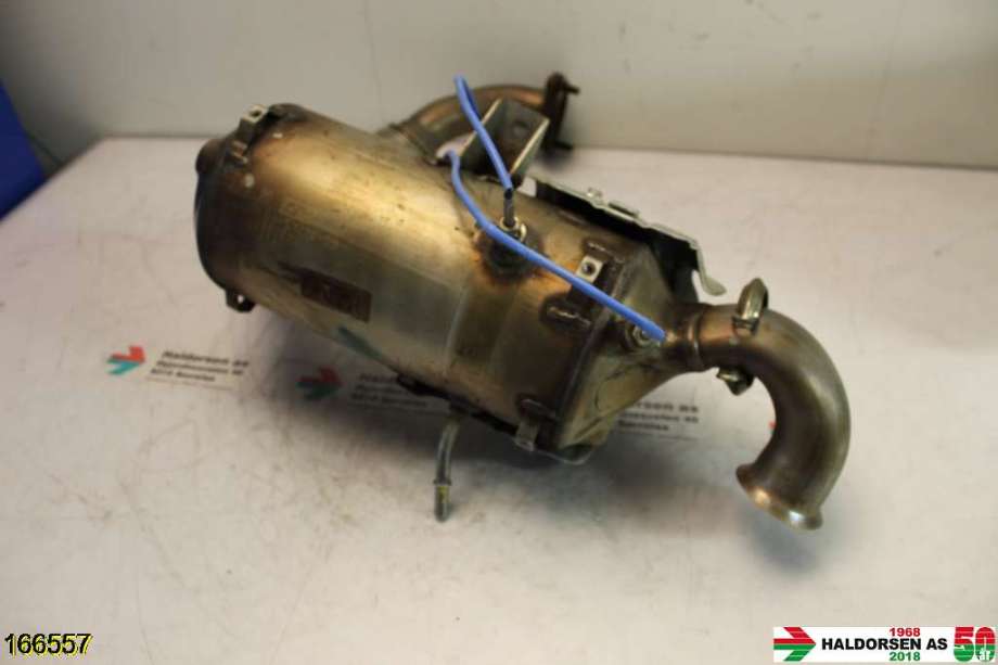 Partikkelfilter til Ford Transit Connect 2013-2018 Type II, Fase 1  (FORD|DV61-5H270-EC|2104913|)