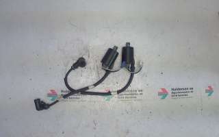 Coil elektronisk til Snøscooter Polaris øvrige,   (POLARIS 600 SWITCHBACK ASSAU|)