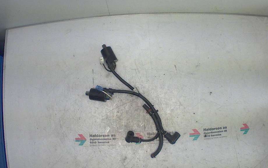 Coil elektronisk til Snøscooter Polaris øvrige 0-->>  (POLARIS|401409|4014010|)