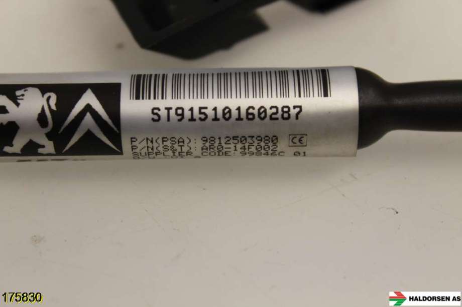 Kamera til Peugeot 308 2013-2021 (Type II)  (PEUGEOT 308|98 125 039 80|)