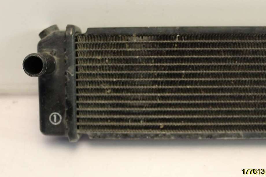 Radiator (automat gir) til Lexus RX 2009-2015 (Type III) (AL10) (AL10) (LEXUS|1604131840|)