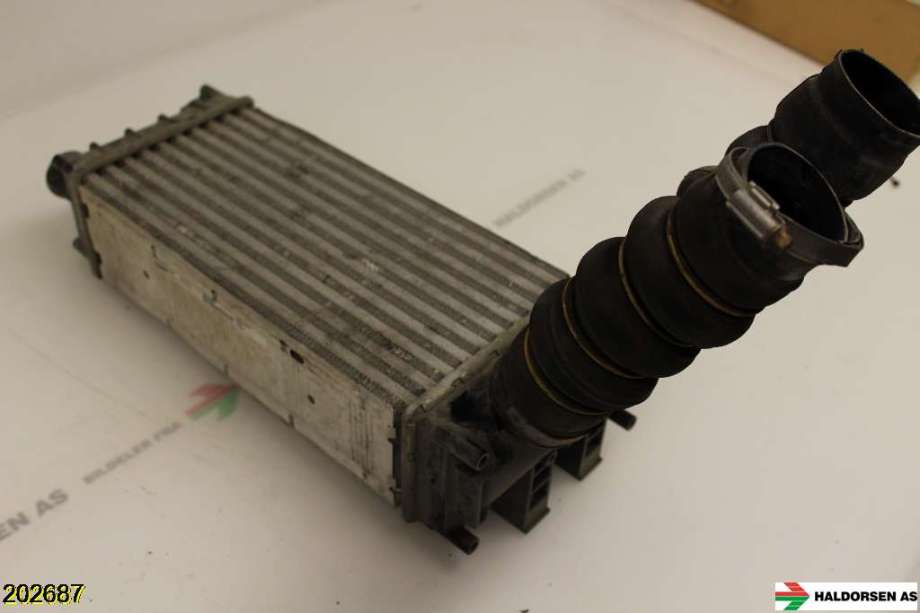 Intercooler til Peugeot Partner, 2008-2015 (Type II, Fase 1)  (PEUGEOT|0384 N9)
