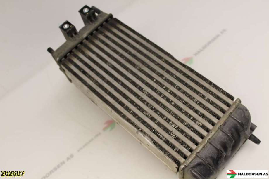Intercooler til Peugeot Partner 2008-2015 (Type II, Fase 1)  (PEUGEOT|0384 N9|)