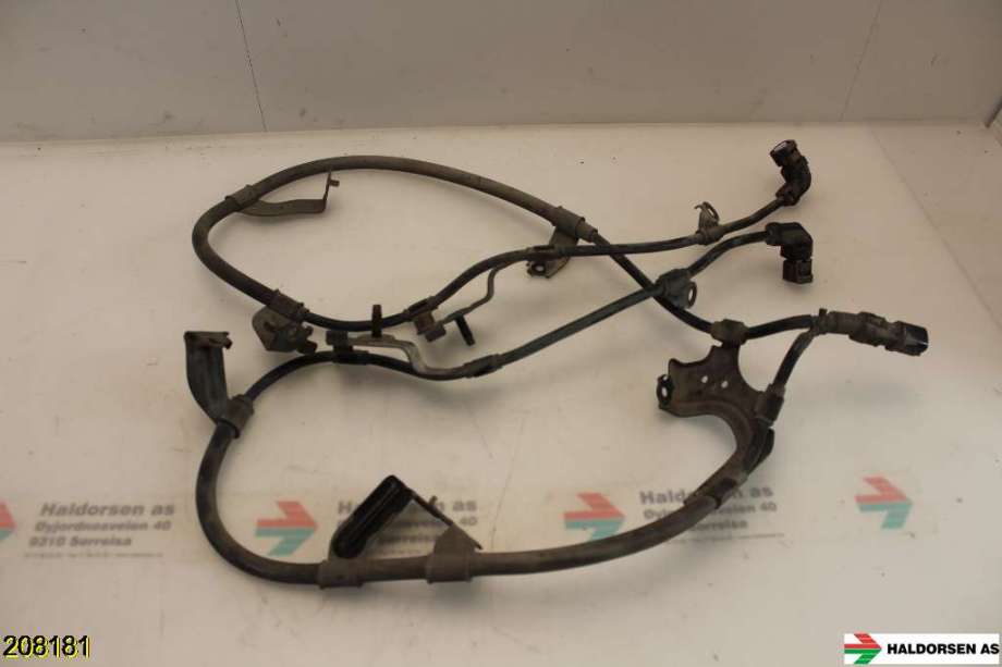 Ledningsnett til Lexus NX, 2014-2021 (Type I) (AZ10) (AZ10) (LEXUS|890C078020)