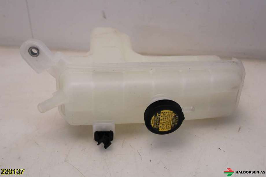 Ekspansjonstank til Toyota RAV4 2013-2015 (Type IV, Fase 1)  (TOYOTA|16470-26121|)