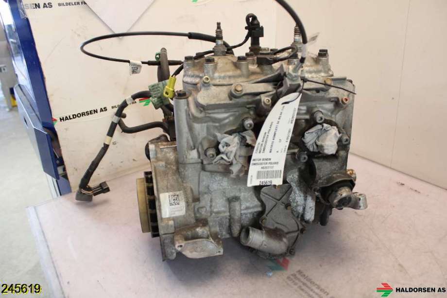 Motor bensin til Snøscooter Polaris øvrige 0-->>  (POLARIS 650 MATRYX SB ASSULT|2208236|650)