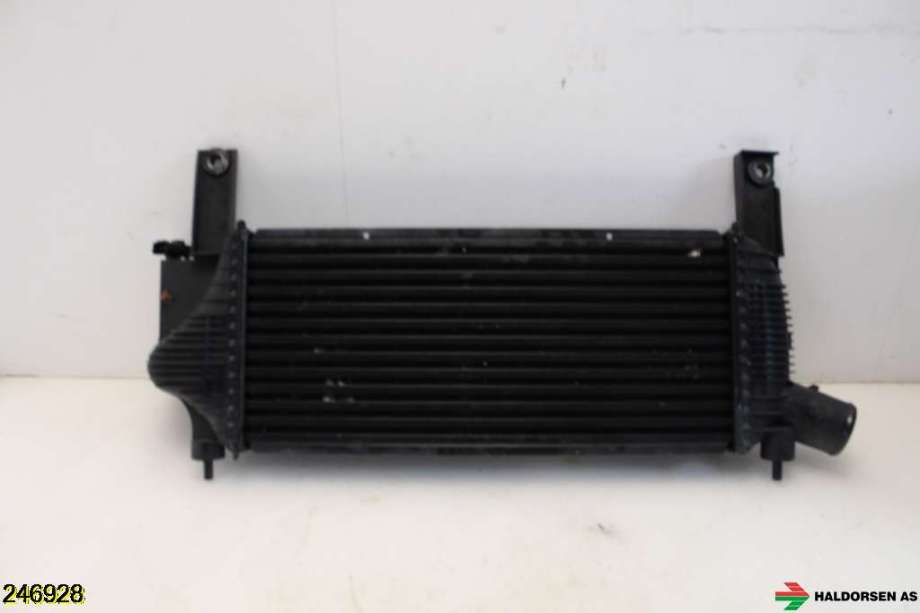Intercooler til Nissan Navara 2005-2010 (Fase 1) (D40) (D40) (NISSAN|14461EB360|)