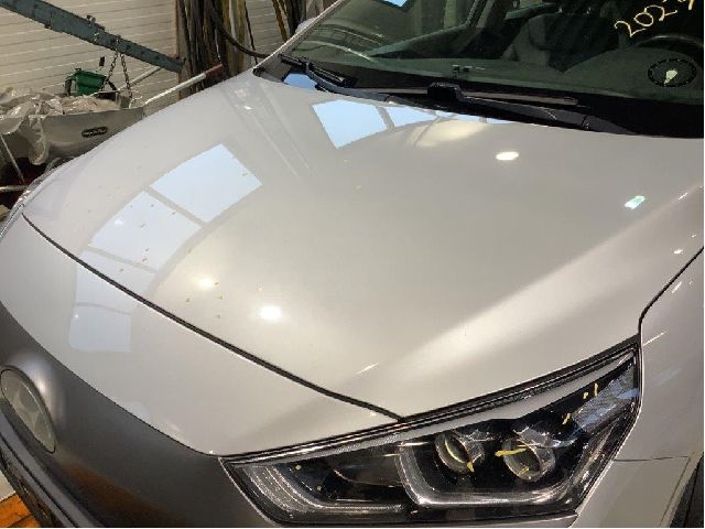 Panser til Hyundai Ioniq Electric 2016-2019 (Fase 1)  (HYUNDAI|66400G 2000|)