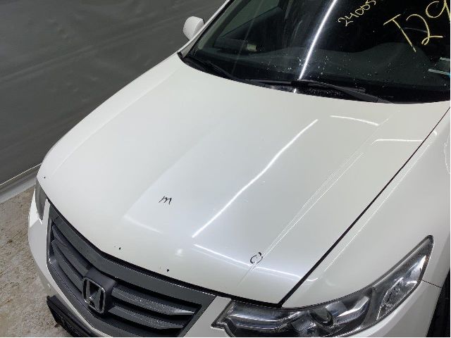 Panser til Honda Accord 2008-2015 (Type VIII)  (HONDA|60100TL0G00ZZ|)
