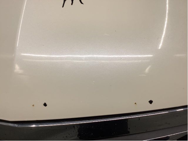 Panser til Honda Accord 2008-2015 (Type VIII)  (HONDA|60100TL0G00ZZ|)