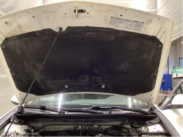 Panser til Honda Accord 2008-2015 (Type VIII)  (HONDA|60100TL0G00ZZ|)