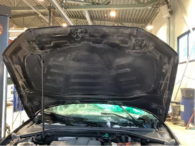 Panser til Audi A3 2012-2016 (Type III, Fase 1) (AUDI|8V0 823 029 D|)