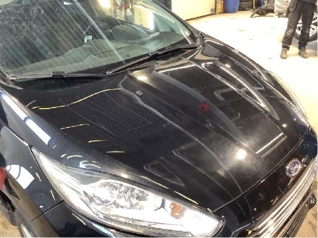 Panser til Ford Fiesta 2013-2017 (Type VI, Fase 2)  (FORD||2002312)