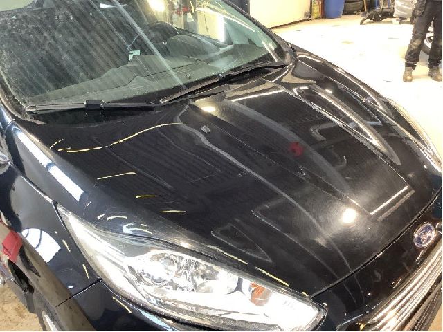 Panser til Ford Fiesta 2013-2017 (Type VI, Fase 2)  (FORD||2002312)