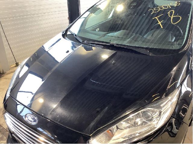 Panser til Ford Fiesta 2013-2017 (Type VI, Fase 2)  (FORD||2002312)