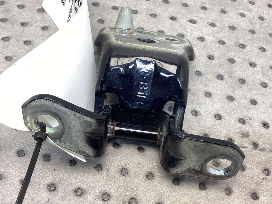 Hengsler til Ford Ranger / Ranger Raptor 2015-2022  (FORD|2303968|)