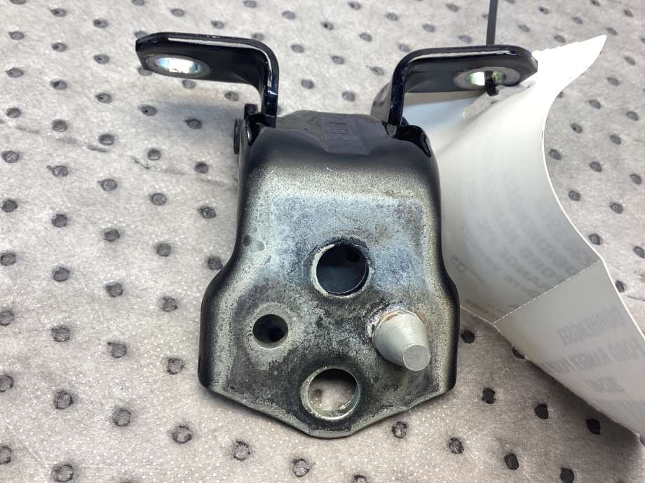 Hengsler til Ford Ranger / Ranger Raptor 2015-2022  (FORD|2303968|)