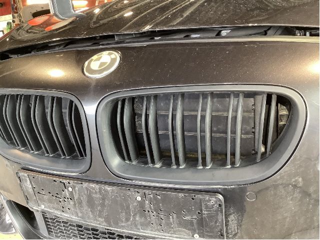 Grill til BMW 5-Serie 2010-2017 (F10/F11) (F10/F11) (BMW|51 71 2 165 528|)