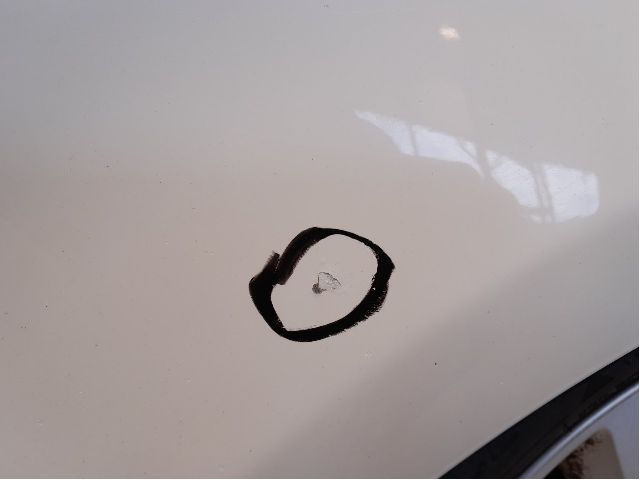 Dør venstre bak til Land Rover Discovery 2005-2009 (Type III)  (LAND-ROVER|BFA790090|)