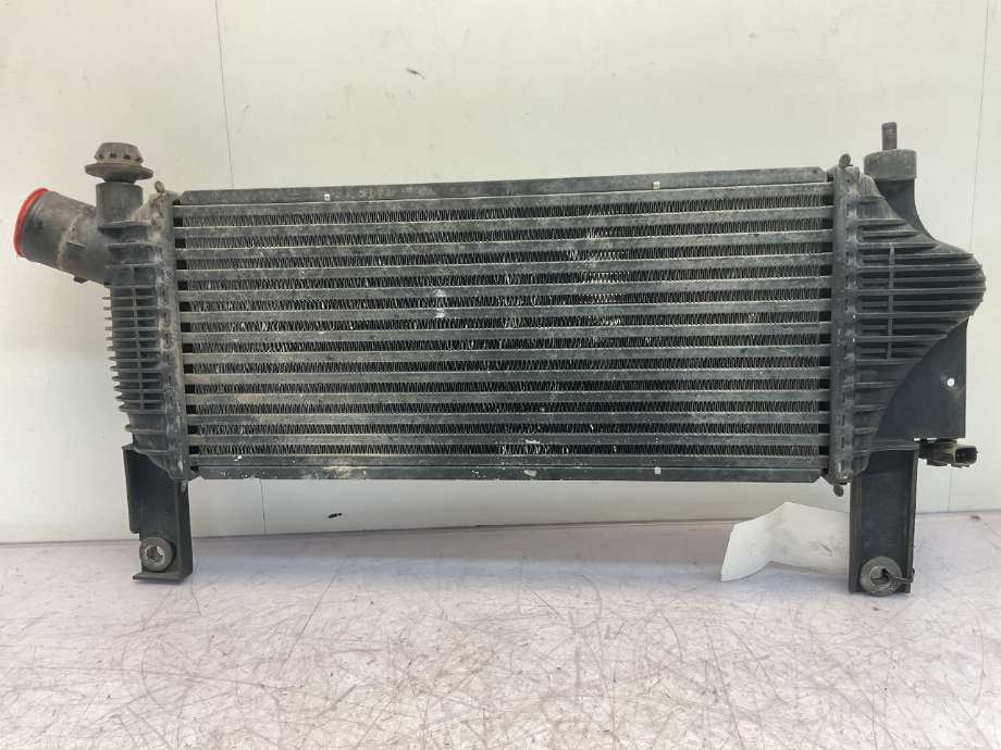 Intercooler til Nissan Navara 2005-2010 (Fase 1) (D40) (D40) (NISSAN|14461EB360|)