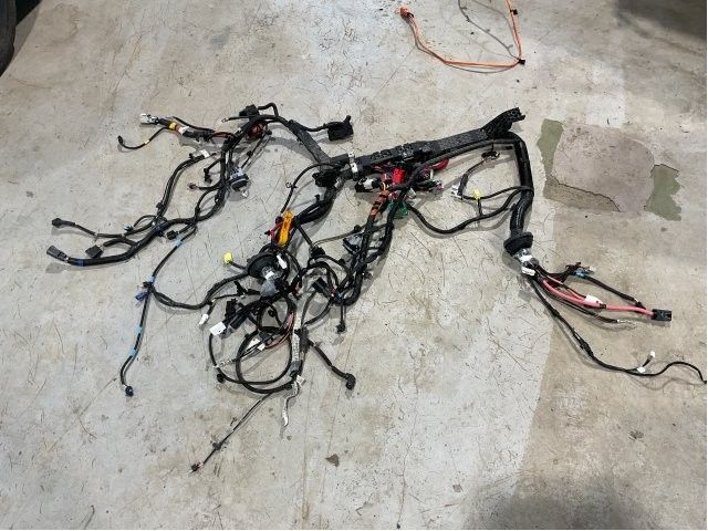 Ledningsnett til Tesla Model 3 2018-2023 (Fase 1) (TESLA|1897330-03-B|)