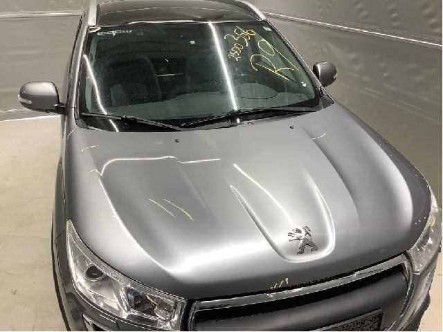 Panser til Peugeot 4008 2012-2017  (PEUGEOT|16 075 445 80|)