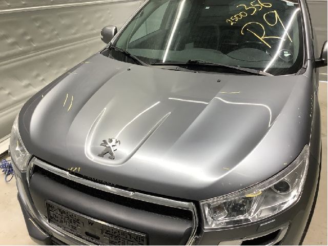 Panser til Peugeot 4008 2012-2017  (PEUGEOT|16 075 445 80|)