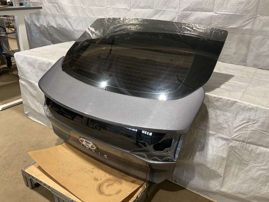 Bakluke combi til Hyundai Ioniq Electric 2019-->> (Fase 2)  (HYUNDAI|73700G 2000|)
