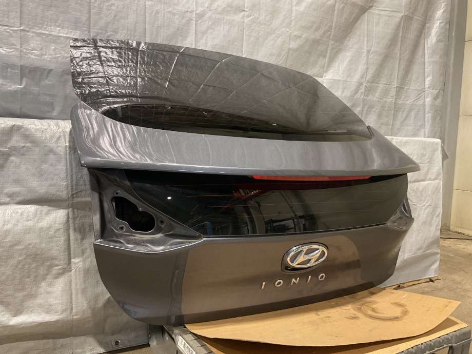 Bakluke combi til Hyundai Ioniq Electric 2019-->> (Fase 2)  (HYUNDAI|73700G 2000|)