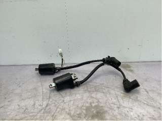 Coil elektronisk til Snøscooter Polaris øvrige,   (POLARIS 800 PRO|4014514 4014515|800RMK|PRORMK)