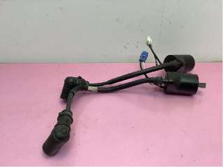 Coil elektronisk til Snøscooter Polaris øvrige,   (POLARIS 800 PRO RMK LE|4014514 4014515)